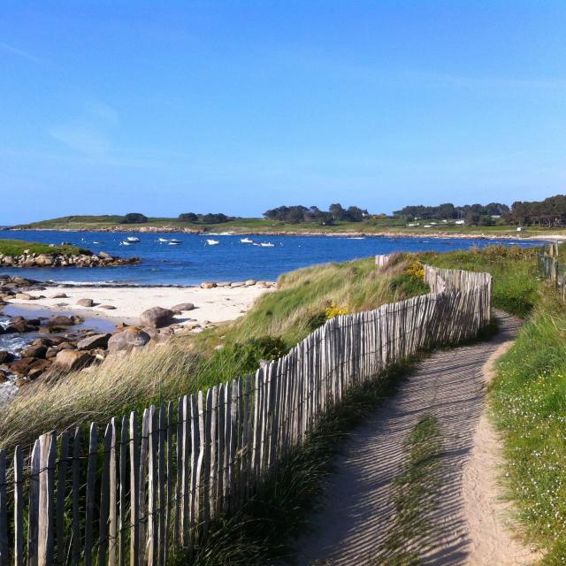 Sentier Des Douaniers Bretagne