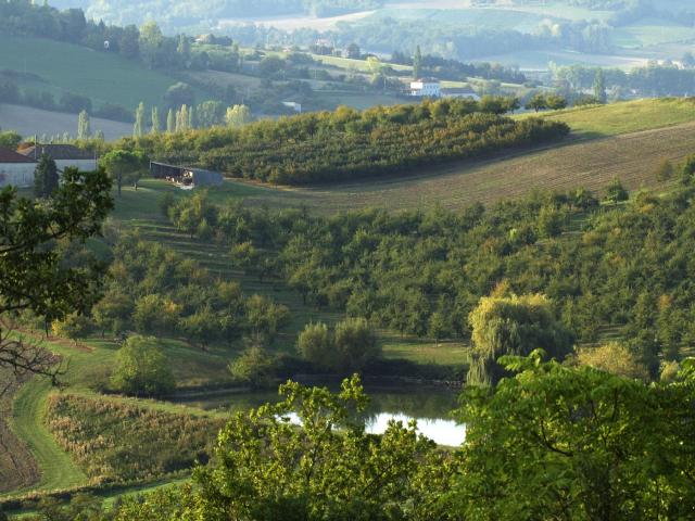 Tarn et Garonne Landscape