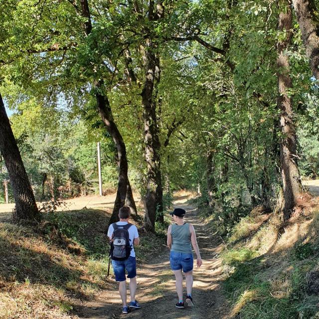 Hiking in the Gers countryside