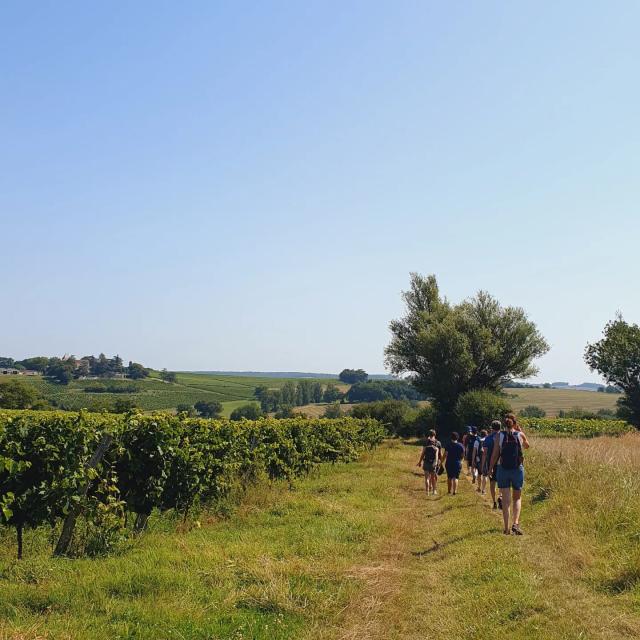 Vignobles Darmagnac hike