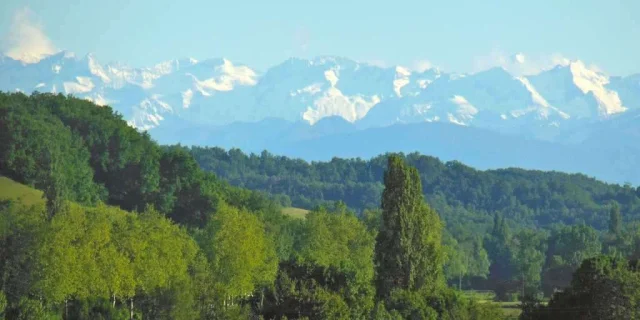 Verhuur Gite Last Minute Zuidwest Gers