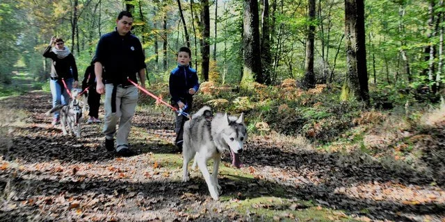 Vermietung Ferienhaus Urlaub Ariege Canirando Gruppe Clouet Cani Rando
