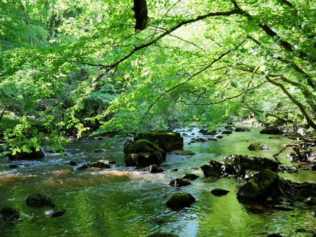 Creuse Riviere Nature