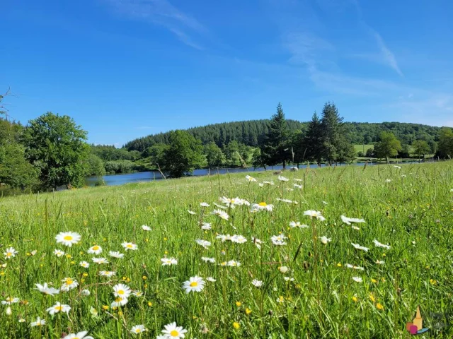 Etang Des Portes Creuse Vue Parc