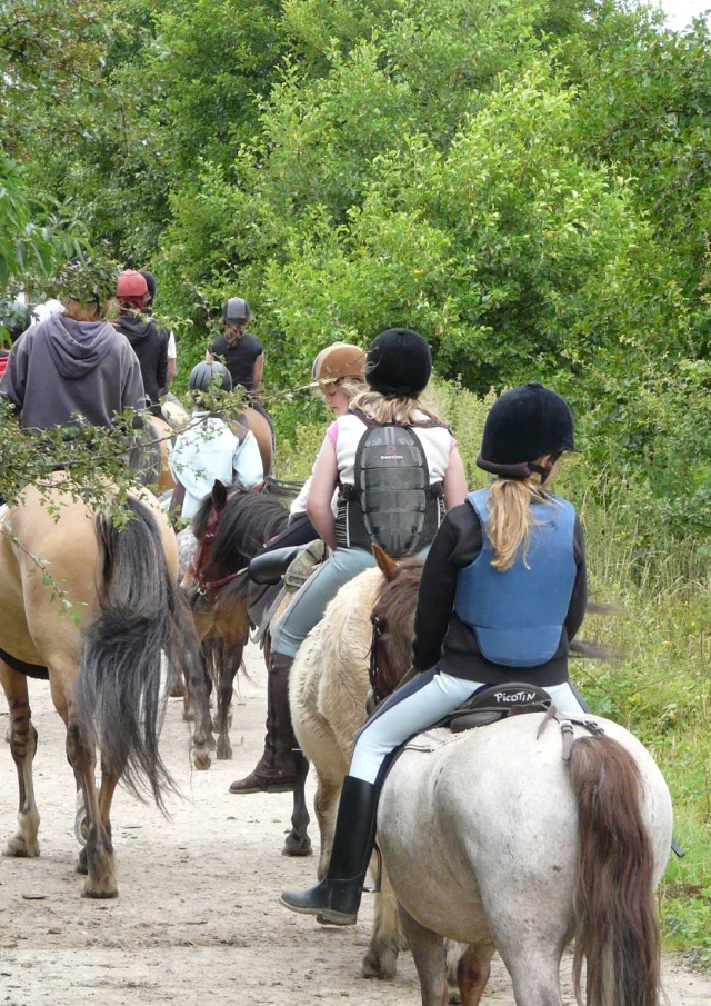 Ferienwohnungen Hauts De France Ferienhaus Ferienwohnungen Reiten Balade A Cheval