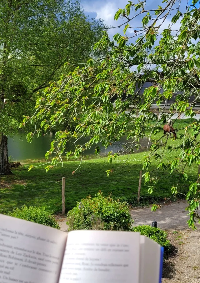 Ferienwohnungen Hauts De France Ferienhäuser Lesung In Der Ruhe Der Natur