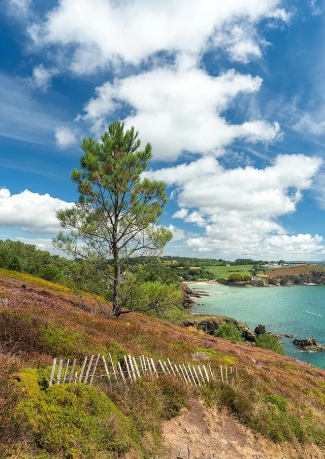 Reservieren Ferienhaus Ferienwohnung Ferienhäuser Finistere Landschaft Porträt