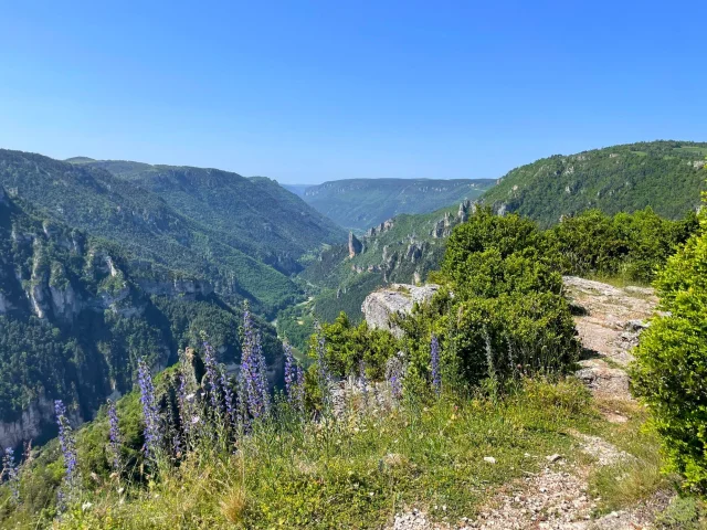 Lozere Tourisme Gorges De La Jonte Et Du Tarn Randonnees Villages De Gites France