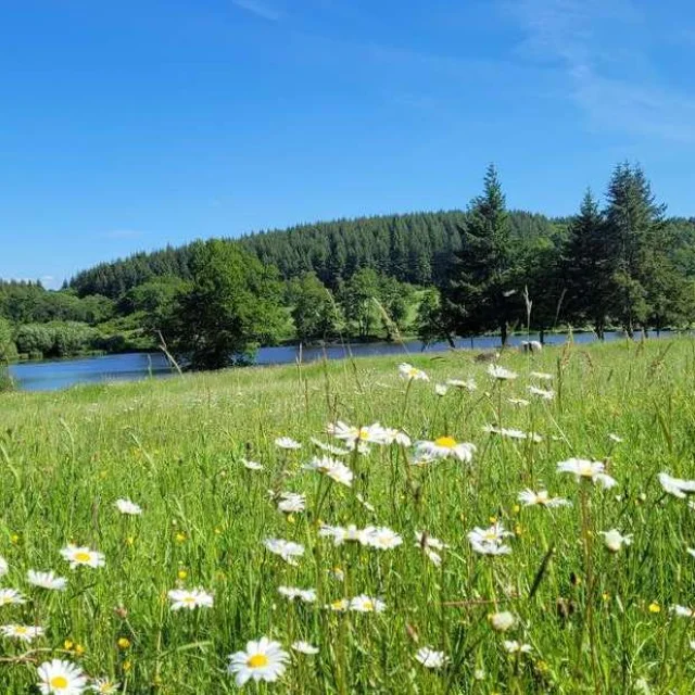 Holiday Rentals In The Countryside Gites In France